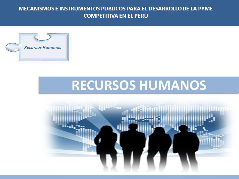MECANISMOS E INSTRUMENTOS PUBLICOS PARA EL DESARROLLO DE LA PYME COMPETITIVA EN EL PERU