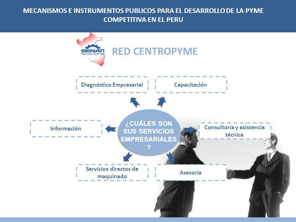 MECANISMOS E INSTRUMENTOS PUBLICOS PARA EL DESARROLLO DE LA PYME COMPETITIVA EN EL PERU