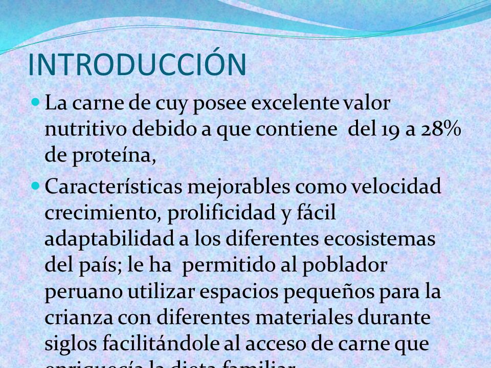 INTRODUCCIÓN La carne de cuy posee excelente valor nutritivo debido a que contiene del 19 a 28% de proteína,