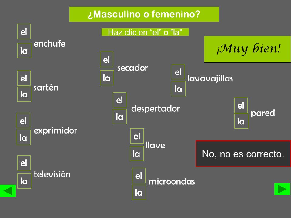 ¡Muy bien! ¿Masculino o femenino la el enchufe el la la la secador el