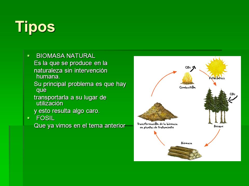 Tipos BIOMASA NATURAL Es la que se produce en la