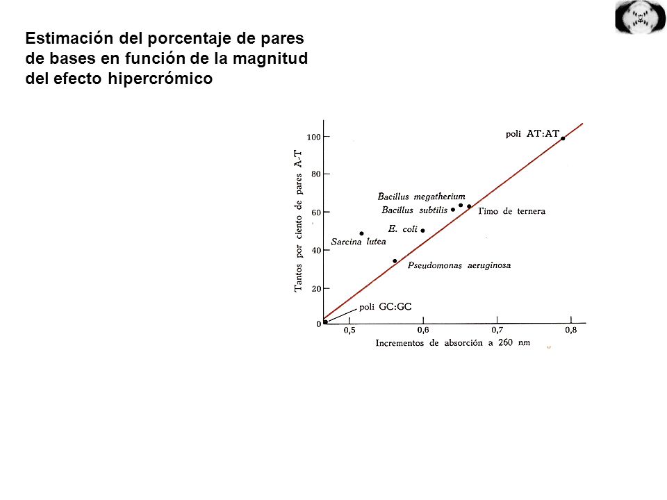 Estimación del porcentaje de pares de bases en función de la magnitud del efecto hipercrómico