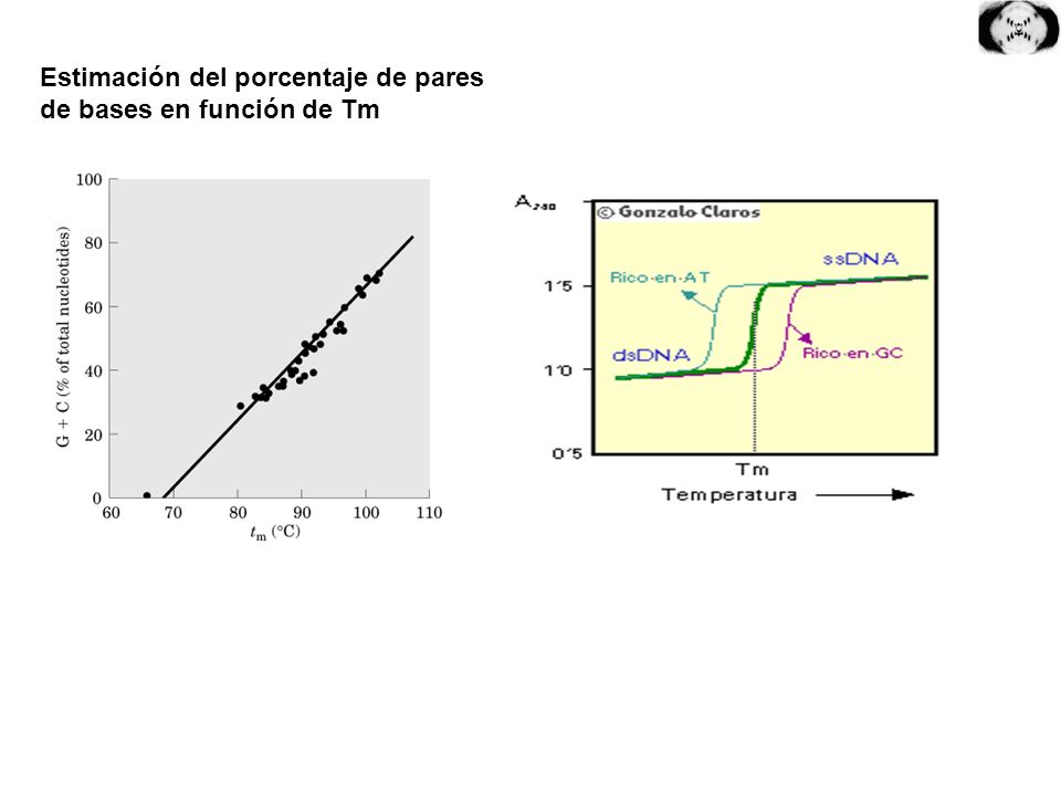 Estimación del porcentaje de pares de bases en función de Tm
