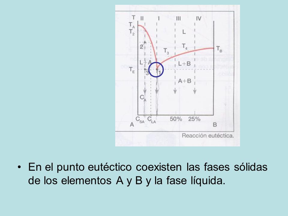 En el punto eutéctico coexisten las fases sólidas de los elementos A y B y la fase líquida.