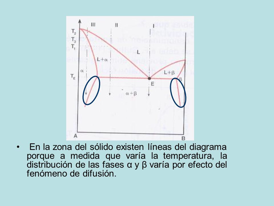 En la zona del sólido existen líneas del diagrama porque a medida que varía la temperatura, la distribución de las fases α y β varía por efecto del fenómeno de difusión.