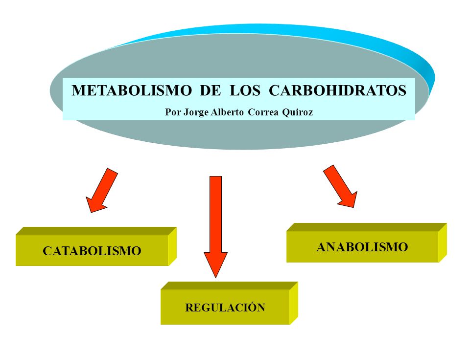METABOLISMO DE LOS CARBOHIDRATOS Por Jorge Alberto Correa Quiroz
