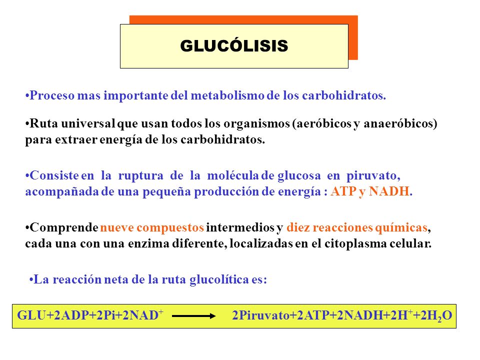 GLUCÓLISIS Proceso mas importante del metabolismo de los carbohidratos.