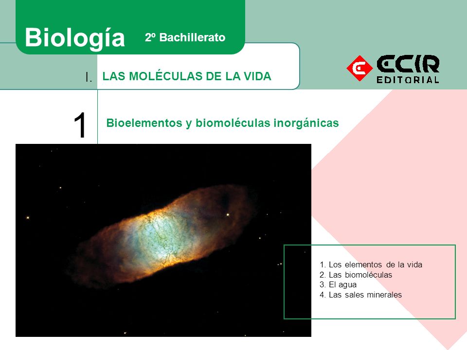 1 Biología I. 2º Bachillerato LAS MOLÉCULAS DE LA VIDA