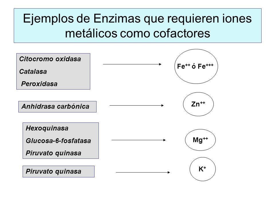 Ejemplos de Enzimas que requieren iones metálicos como cofactores