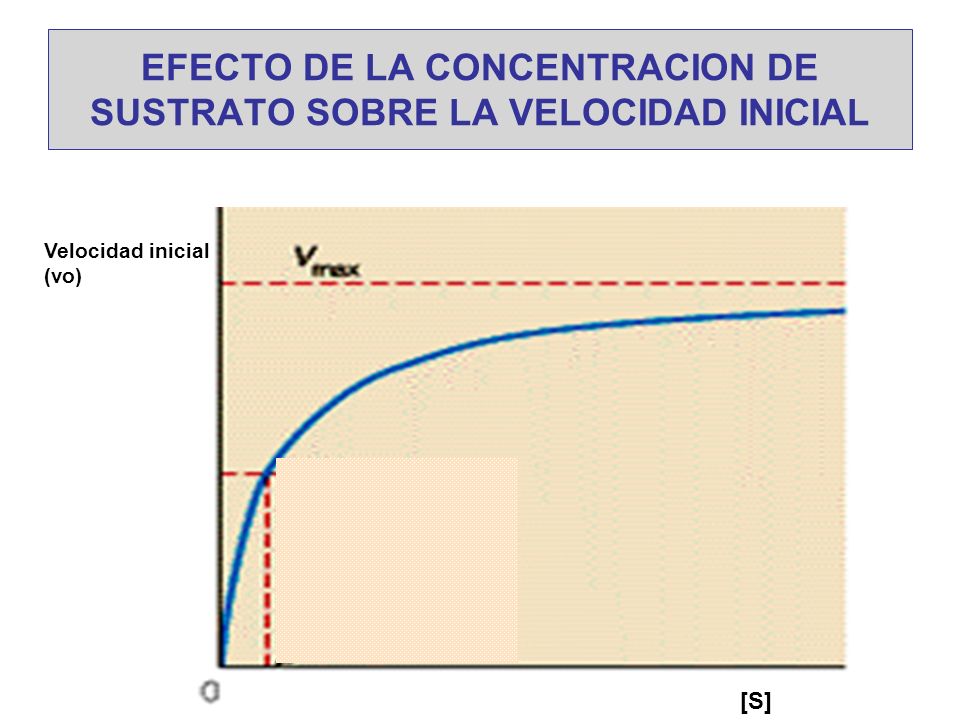 EFECTO DE LA CONCENTRACION DE SUSTRATO SOBRE LA VELOCIDAD INICIAL