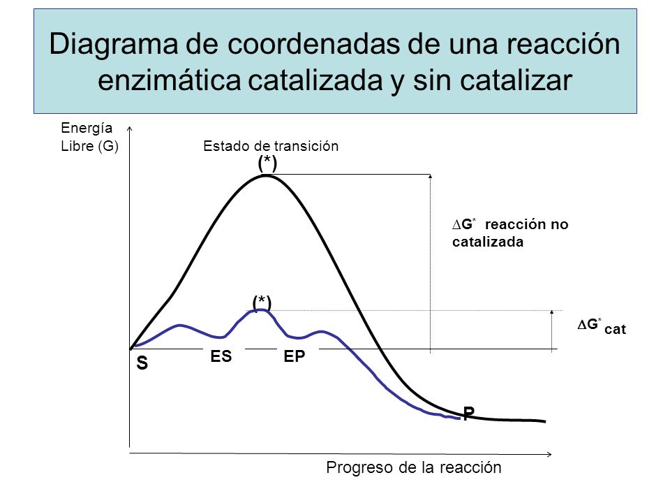 Diagrama de coordenadas de una reacción enzimática catalizada y sin catalizar