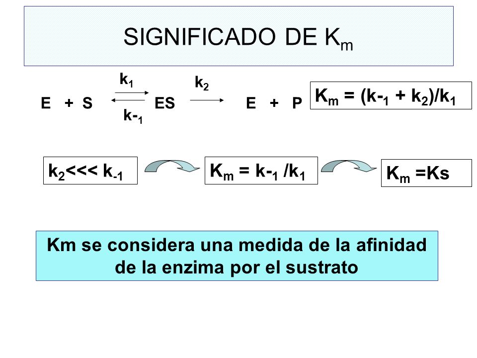Km se considera una medida de la afinidad de la enzima por el sustrato