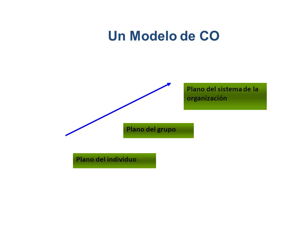 Un Modelo de CO Plano del sistema de la organización Plano del grupo