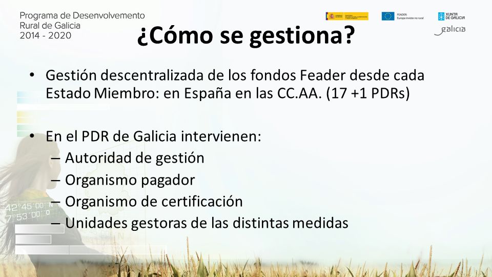 ¿Cómo se gestiona Gestión descentralizada de los fondos Feader desde cada Estado Miembro: en España en las CC.AA. (17 +1 PDRs)