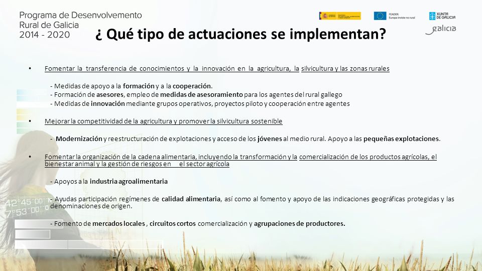 ¿ Qué tipo de actuaciones se implementan