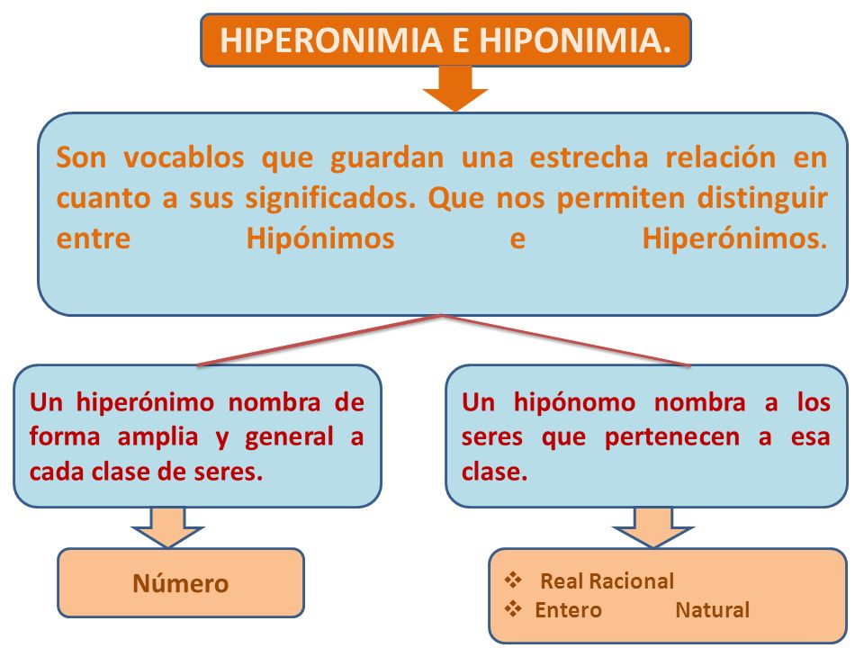 Resultado de imagen de HIPERONIMIA