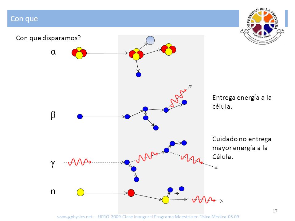 α β γ n Con que Con que disparamos Entrega energía a la célula.