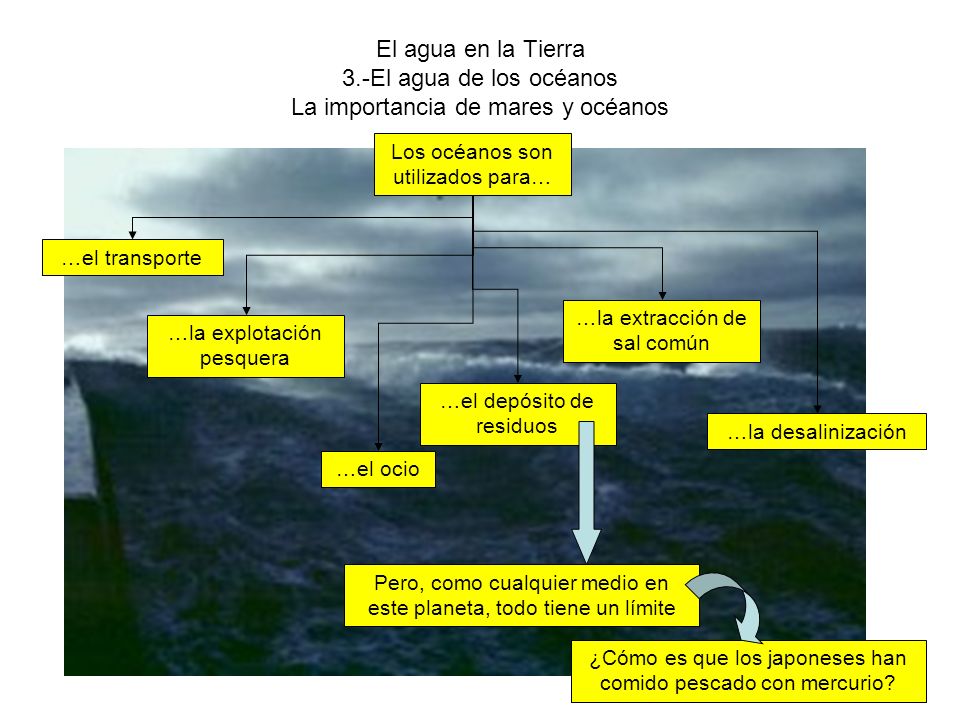 El agua en la Tierra 3.-El agua de los océanos La importancia de mares y océanos