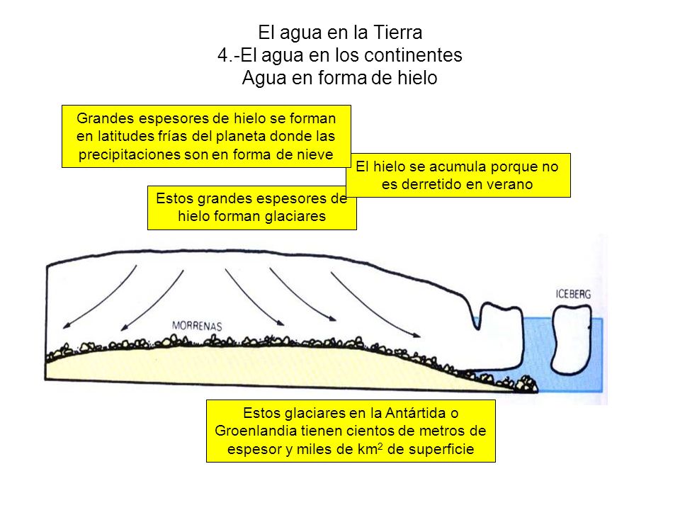 El agua en la Tierra 4.-El agua en los continentes Agua en forma de hielo
