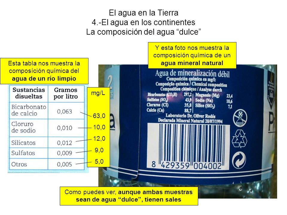 El agua en la Tierra 4.-El agua en los continentes La composición del agua dulce