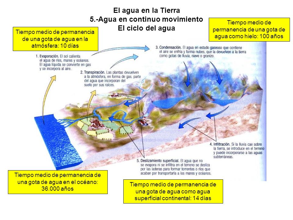 El agua en la Tierra 5.-Agua en continuo movimiento El ciclo del agua