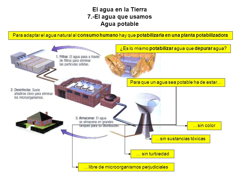 El agua en la Tierra 7.-El agua que usamos Agua potable