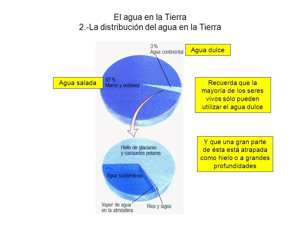 El agua en la Tierra 2.-La distribución del agua en la Tierra