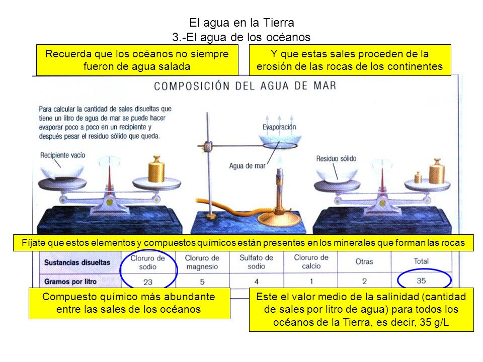 El agua en la Tierra 3.-El agua de los océanos
