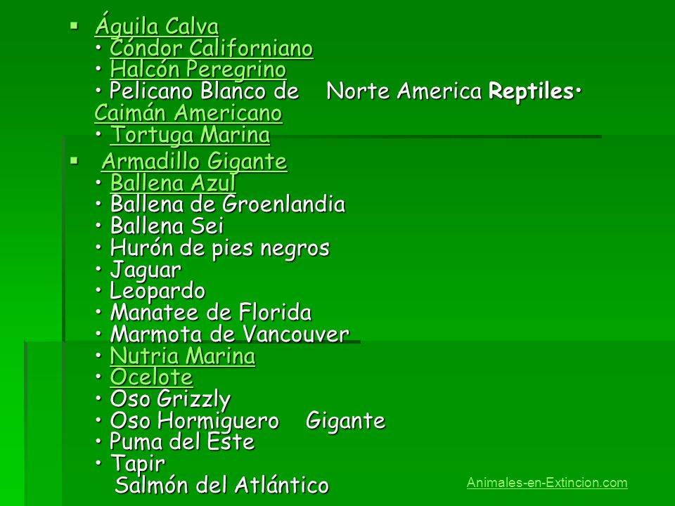 Águila Calva • Cóndor Californiano • Halcón Peregrino • Pelicano Blanco de Norte America Reptiles• Caimán Americano • Tortuga Marina