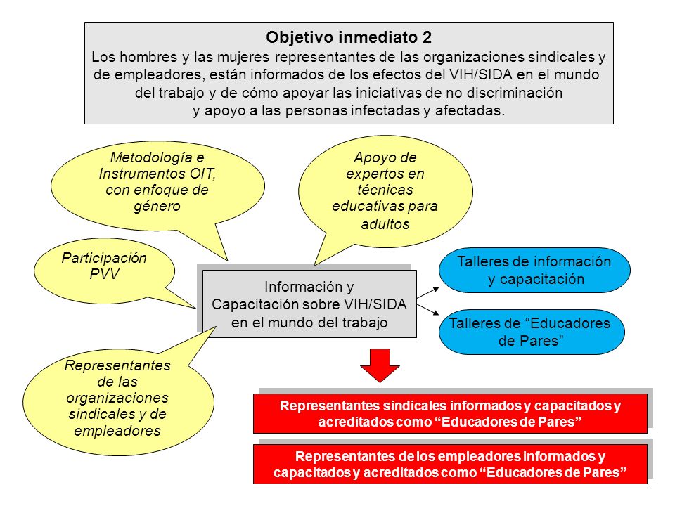 Objetivo inmediato 2 Los hombres y las mujeres representantes de las organizaciones sindicales y.