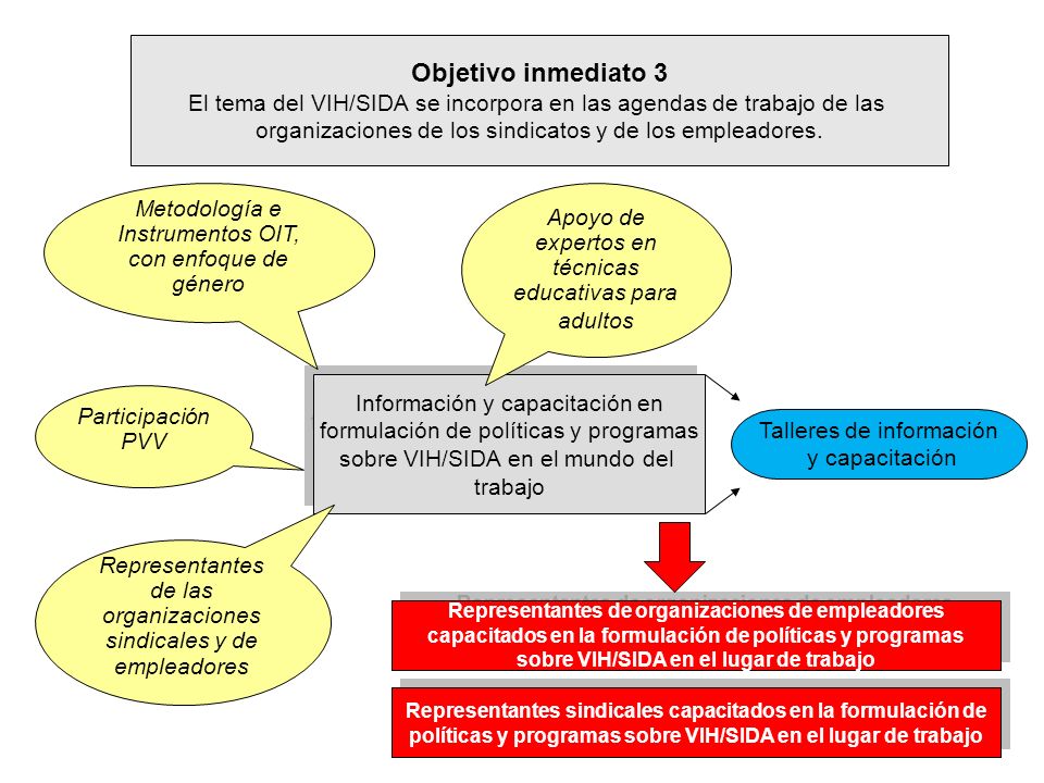 Objetivo inmediato 3 El tema del VIH/SIDA se incorpora en las agendas de trabajo de las. organizaciones de los sindicatos y de los empleadores.