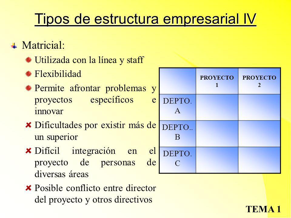 Tipos de estructura empresarial IV