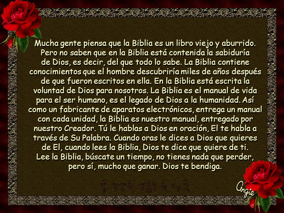 Angie Mucha gente piensa que la Biblia es un libro viejo y aburrido.