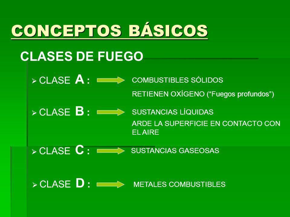 CONCEPTOS BÁSICOS CLASES DE FUEGO CLASE A : COMBUSTIBLES SÓLIDOS