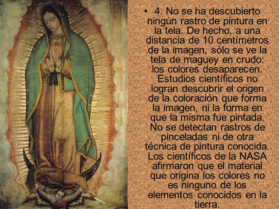 4. No se ha descubierto ningún rastro de pintura en la tela