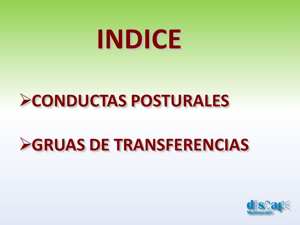 INDICE CONDUCTAS POSTURALES GRUAS DE TRANSFERENCIAS