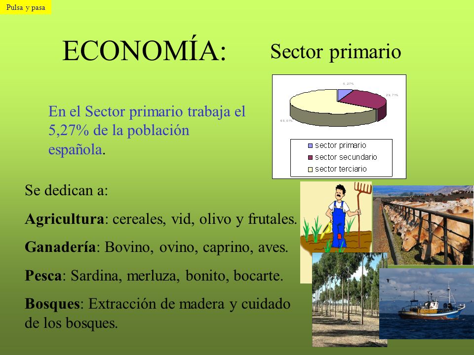 ECONOMÍA: Sector primario