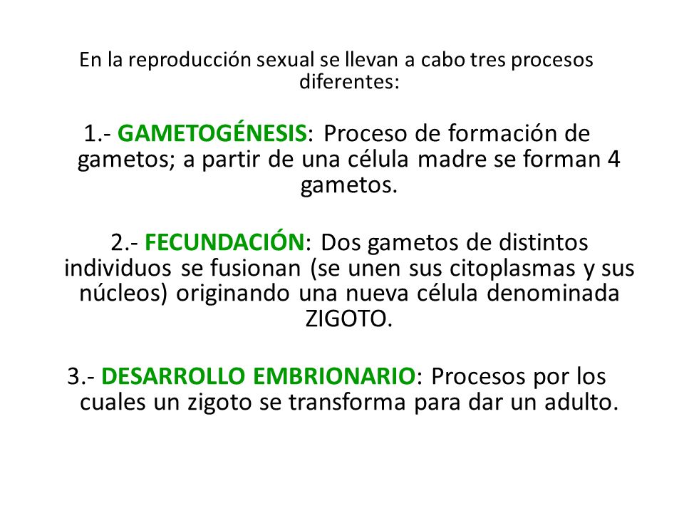 En la reproducción sexual se llevan a cabo tres procesos diferentes: