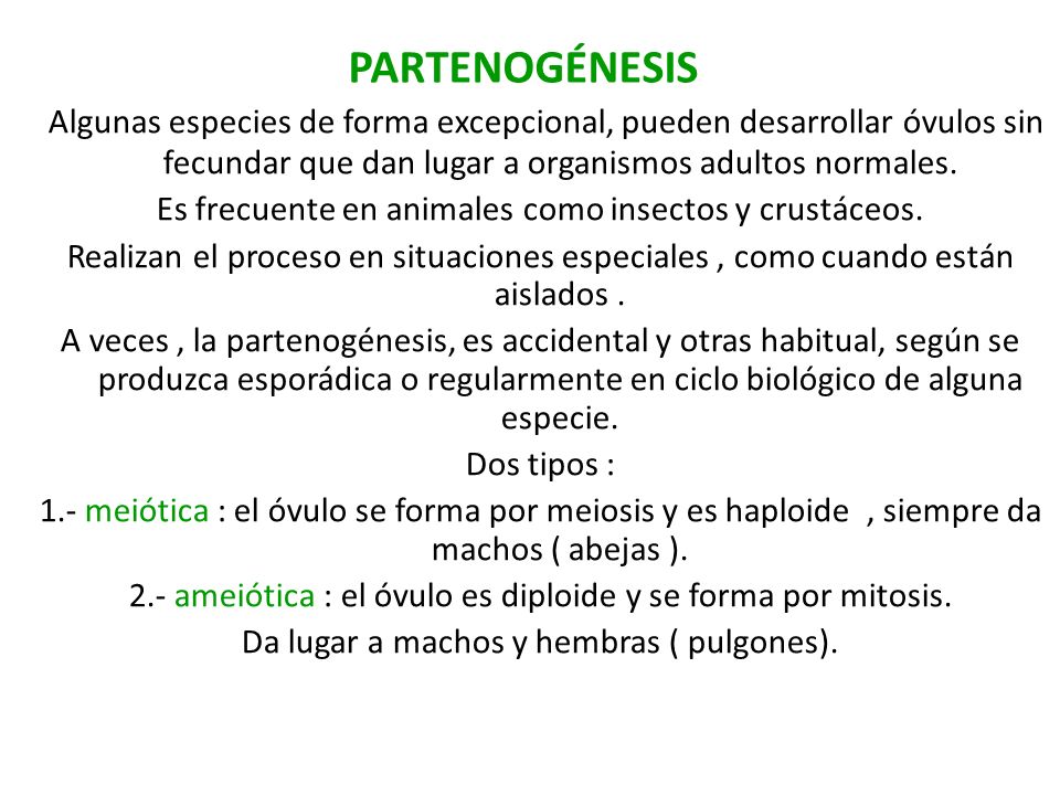 PARTENOGÉNESIS Algunas especies de forma excepcional, pueden desarrollar óvulos sin fecundar que dan lugar a organismos adultos normales.