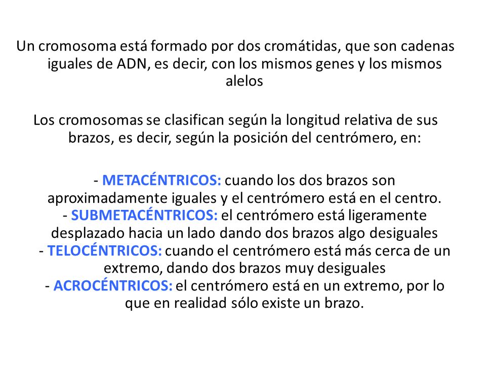 Un cromosoma está formado por dos cromátidas, que son cadenas iguales de ADN, es decir, con los mismos genes y los mismos alelos
