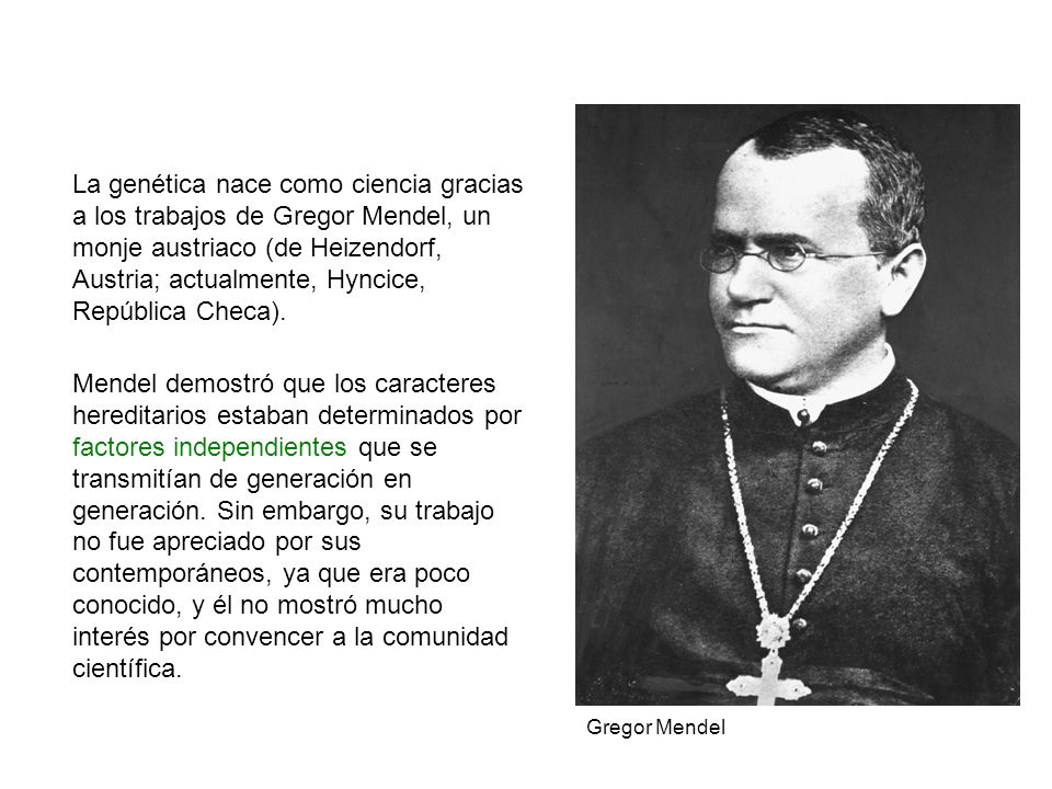 La genética nace como ciencia gracias a los trabajos de Gregor Mendel, un monje austriaco (de Heizendorf, Austria; actualmente, Hyncice, República Checa).