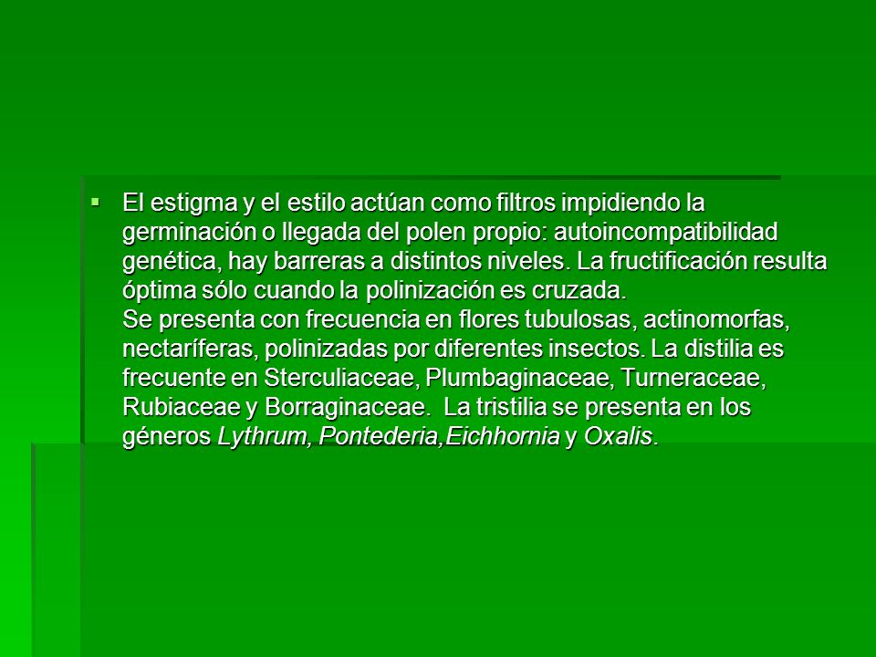 El estigma y el estilo actúan como filtros impidiendo la germinación o llegada del polen propio: autoincompatibilidad genética, hay barreras a distintos niveles.