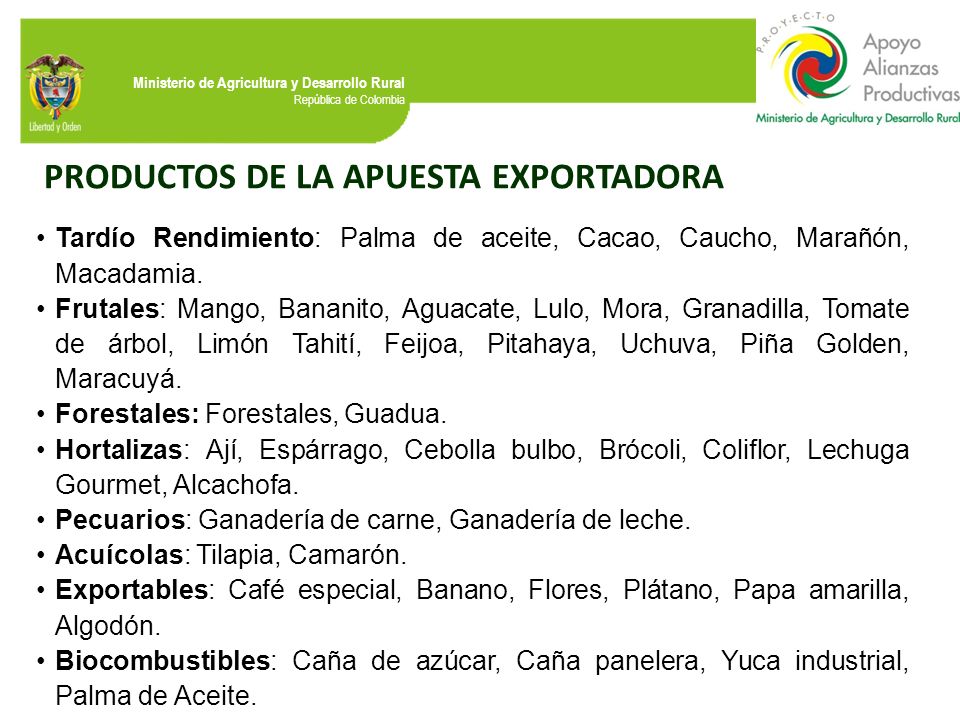 PRODUCTOS DE LA APUESTA EXPORTADORA