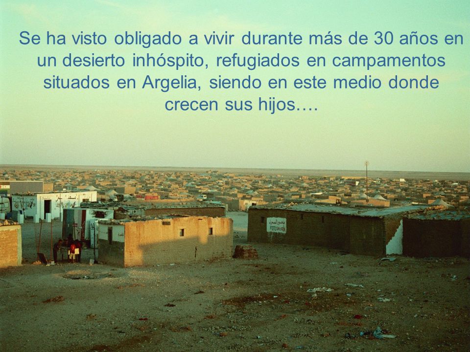Se ha visto obligado a vivir durante más de 30 años en un desierto inhóspito, refugiados en campamentos situados en Argelia, siendo en este medio donde crecen sus hijos….