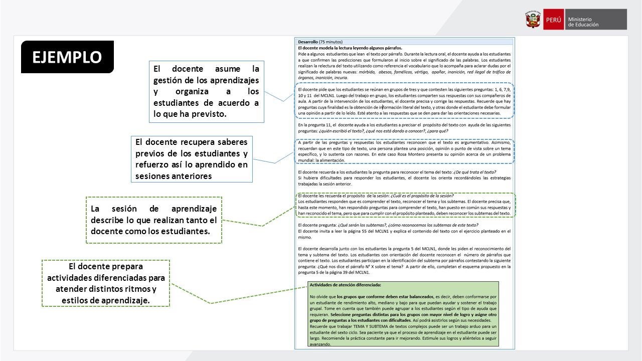 EJEMPLO El docente asume la gestión de los aprendizajes y organiza a los estudiantes de acuerdo a lo que ha previsto.