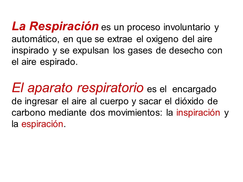 La Respiración es un proceso involuntario y automático, en que se extrae el oxigeno del aire inspirado y se expulsan los gases de desecho con el aire espirado.