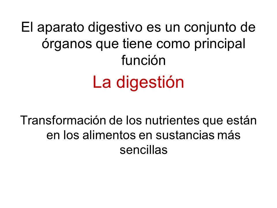 El aparato digestivo es un conjunto de órganos que tiene como principal función