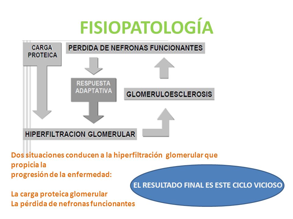 FISIOPATOLOGÍA Dos situaciones conducen a la hiperfiltración glomerular que propicia la. progresión de la enfermedad: