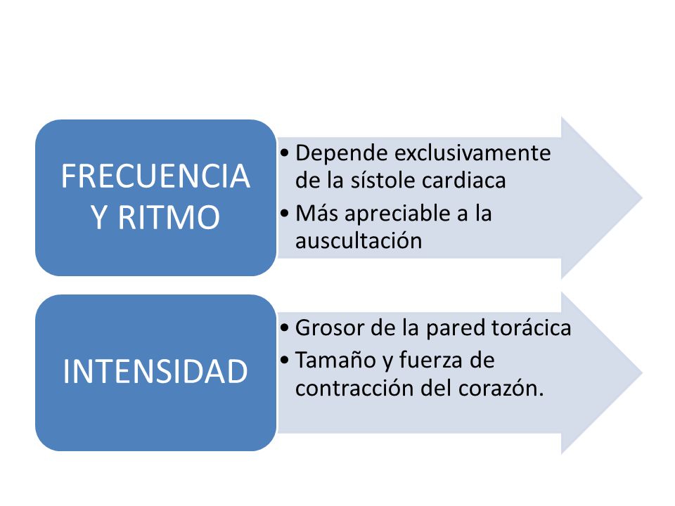 FRECUENCIA Y RITMO Depende exclusivamente de la sístole cardiaca. Más apreciable a la auscultación.