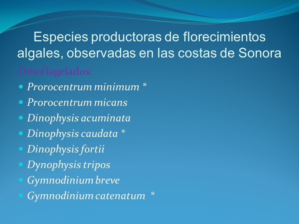 Especies productoras de florecimientos algales, observadas en las costas de Sonora
